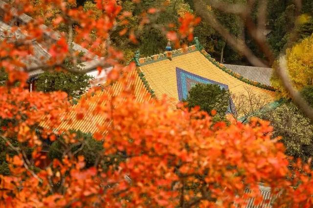 2025中关村开学季 | 海逛！海玩！海学！解锁亿“淀”美好→