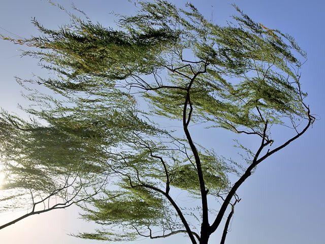 北京日报社区小板报 | 预计本周还有两次冷空气过程