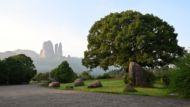 熟悉的风景里藏着最陌生的奇观，只待一次全新的回眸！江郎山景区惊现世上罕见自然大佛