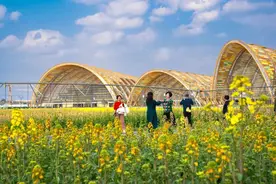 清明假期稳居国内热门目的地前三 成都持续点亮春日文旅经济丨成都发展图片