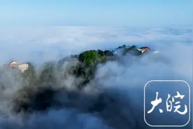 满目山花竞芬芳 九华山给你“诗和远方”图片