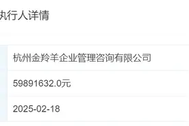 曾被A股上市公司“相中”的自嗨锅，新增被执行人信息图片
