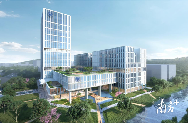 腹腔镜手术后能否吃花胶 腹腔镜术后可以吃花胶吗