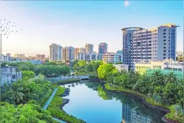 海口美兰：水清岸绿万鸟归图片
