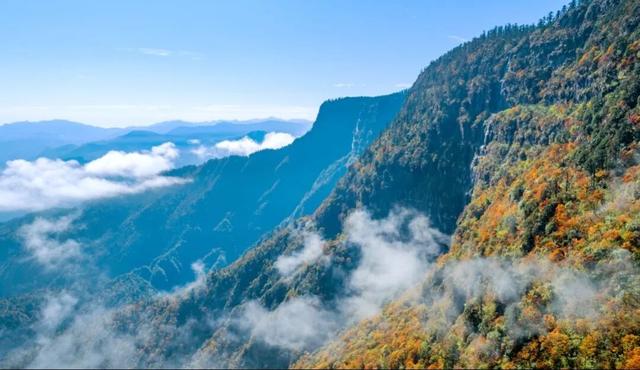 快来瓦屋山徒步！真的很过瘾！