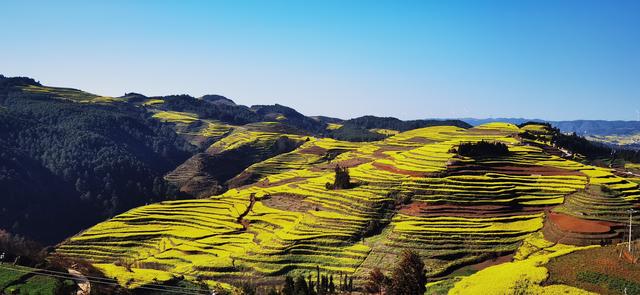 罗平马街：云上花梯铺锦绣 风景独好引客来