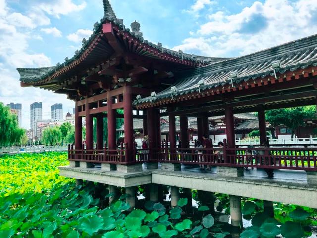 莲湖公园：一池碧水映千年