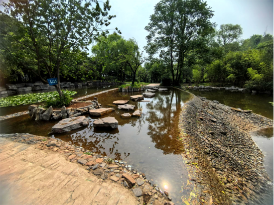焕新归来！沂水东皋公园：四季有景夜有光 古塔生辉美出圈