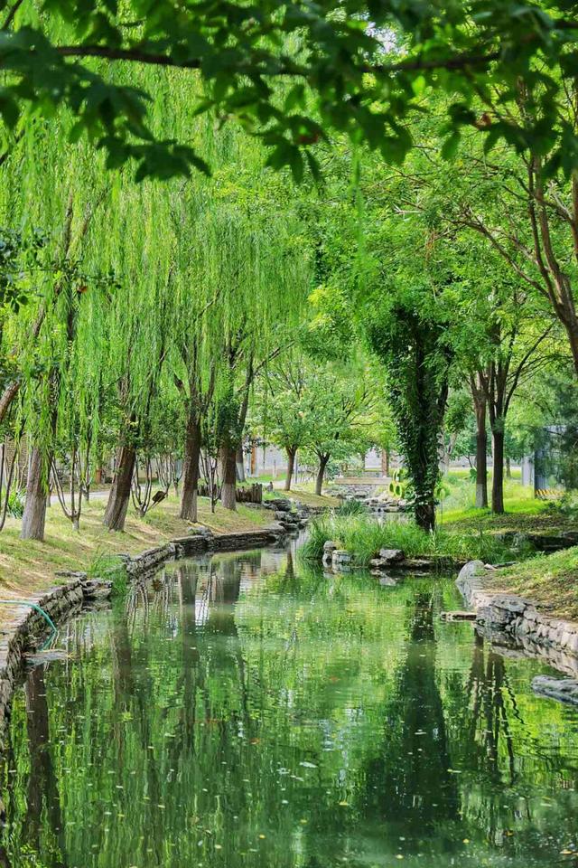大美东城｜俯仰之间皆胜景 行停之处即桃源