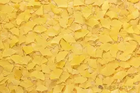 警惕！江苏街头已大量出现！很多人爱捡图片