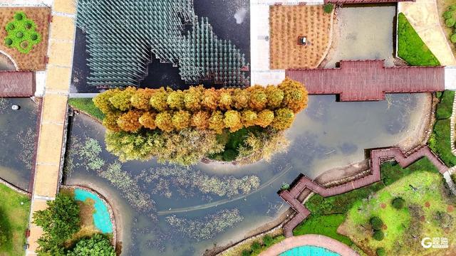 街角的光影、海边的风、林间的静谧……Mark秋日限定诗意