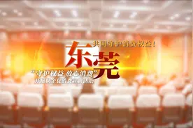 共同守护消费权益！东莞开展助企促消费宣讲活动图片