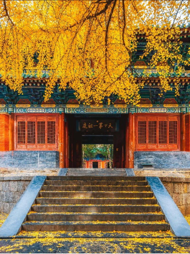 周末出发！河南最美彩色地图上线