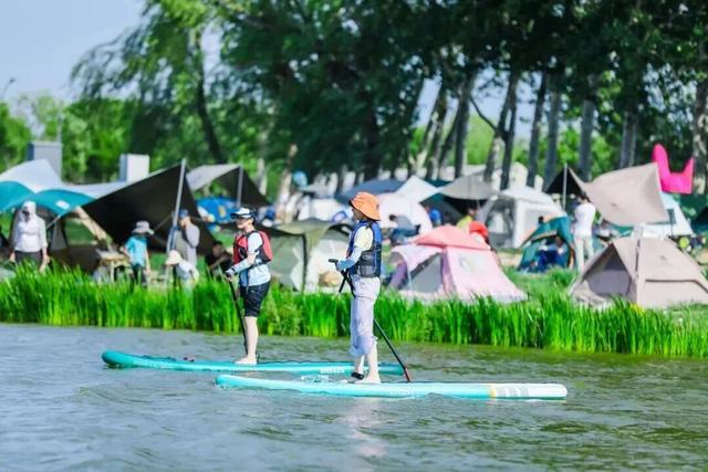 全球金奖！这次是——