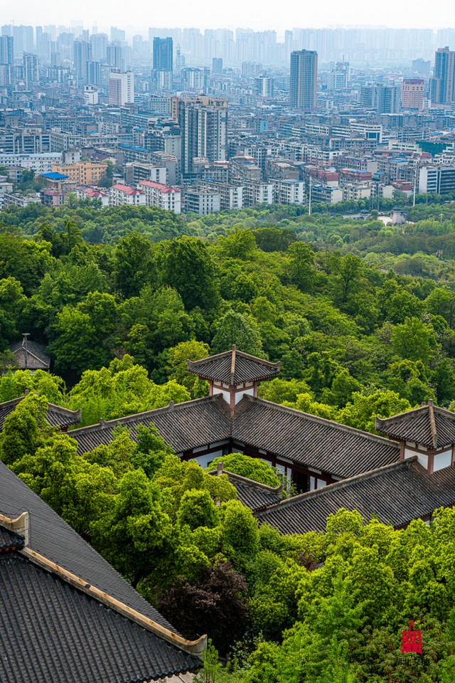 湖北这6座公园,你去过一半算我输!