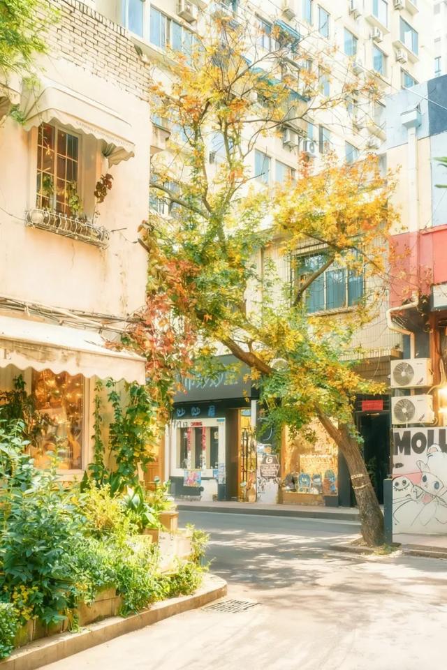 用CityWalk的方式,和蓝天Say Hi~