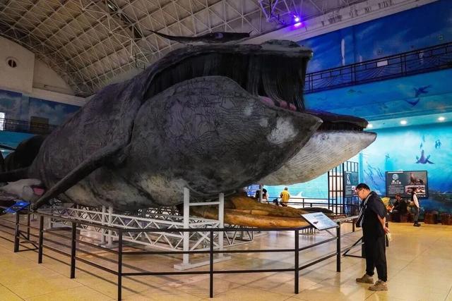 周末去哪儿？大连这八个馆里补给灵感~