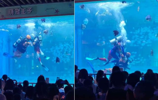 重庆一主题公园表演“奥特曼打怪兽”走红网络，演员：小朋友欢呼给了我们动力