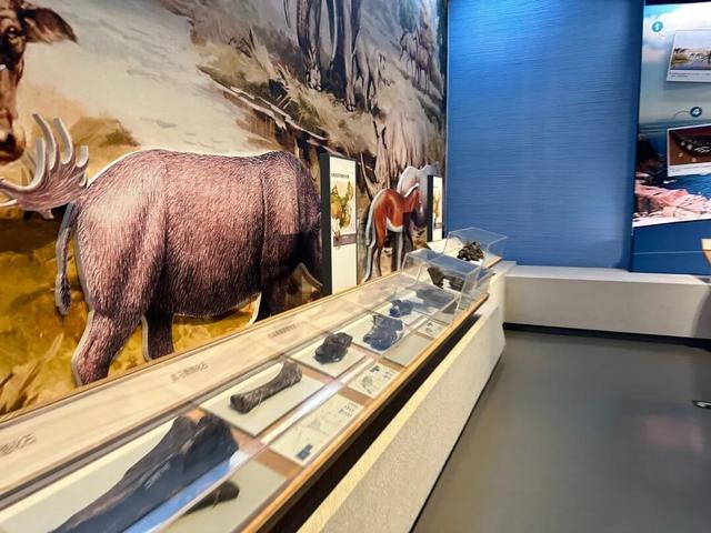 连休五天，浙L大部队已到……