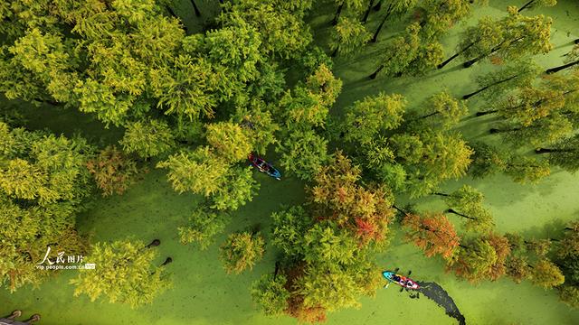 浙江杭州：青山湖秋色醉游人