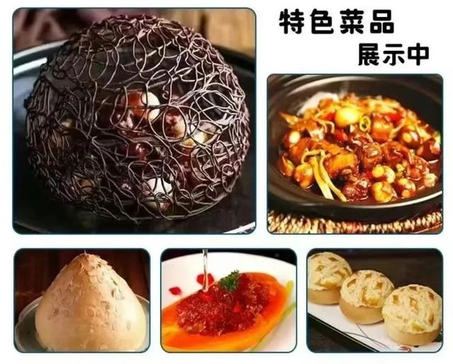 邂逅长春！跟着航空展寻味长春③知味创意潮流