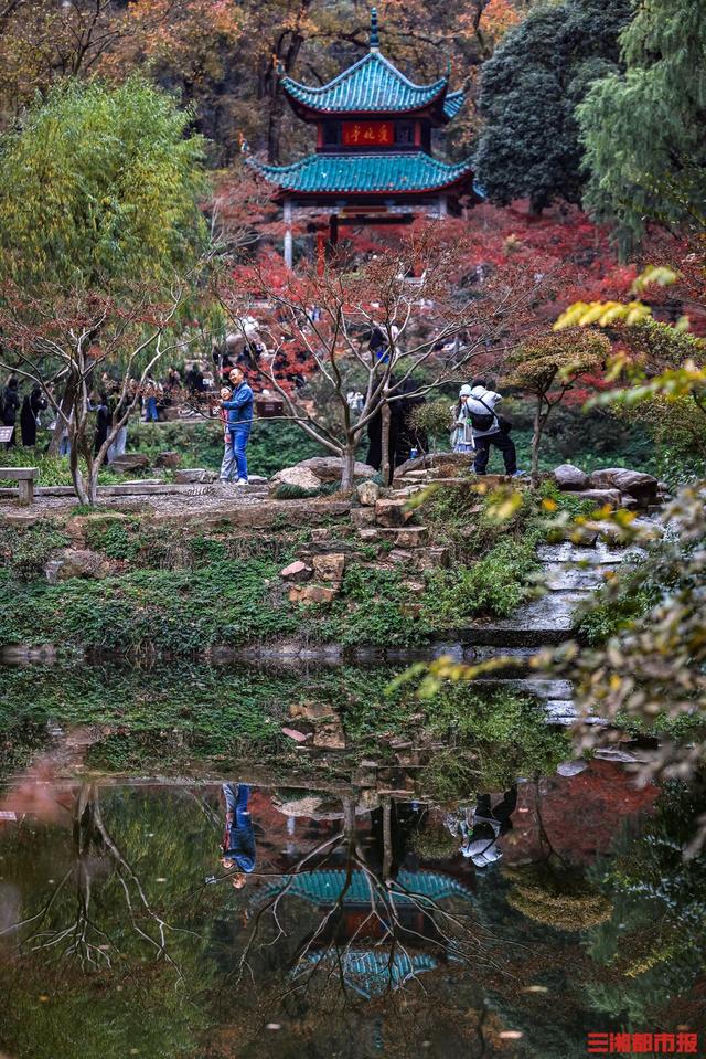 我是刘贵香 |  岳麓山上