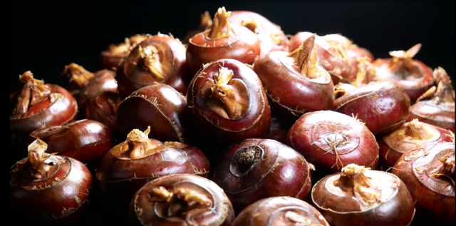 提到家乡韶关，张颂文就是那么“傲娇”！