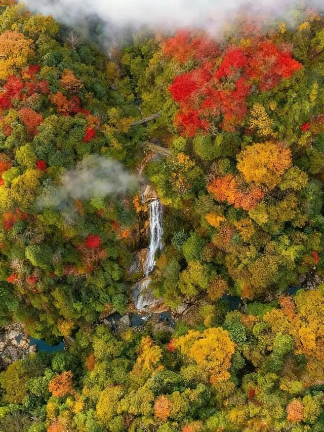 “秋假”第一站！上饶把最美的颜色，“晒”给你看