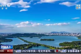 一线调研丨每赚1元钱9毛钱用来搞研发 “杭州六小龙”何以成功？图片