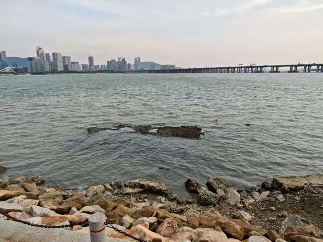 先锋在行动｜守护“一湾碧水” 让市民游玩体验更清新、更“出片”