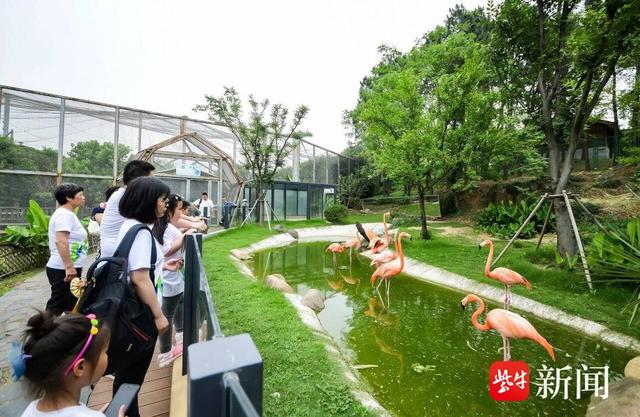 教师专属福利，免费游苏州木渎