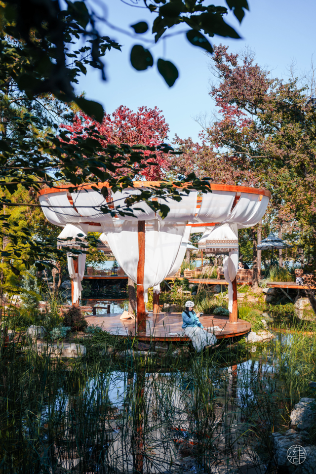 降温了，躲进东湖暖咖，独享封神秋景！