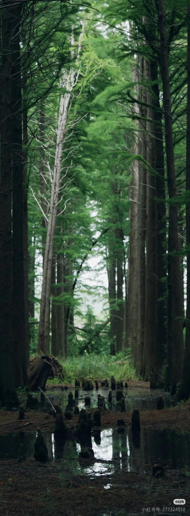 热气，退，退，退！