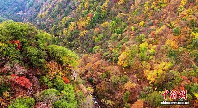 秦岭腹地秋色迷人 吸引游人登山赏景