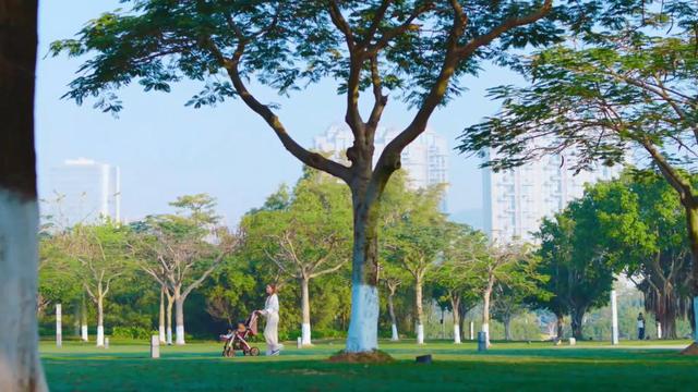 新华视点丨光影流金 厦门借金鸡奖书写“影视之城”新诗篇