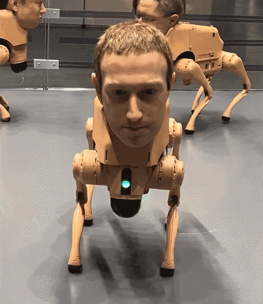 马斯克人头机器狗，70万一只被抢空！网友：太诡异了，十个道士才能镇住！