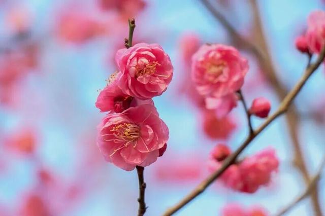 开了？达州：真的开了！