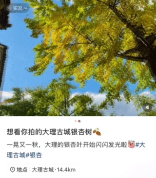 网友不建议推广？来大理，给你“镀层金”