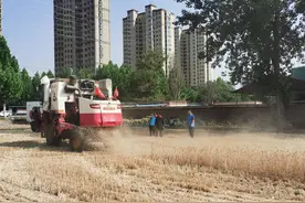 兰考县桐乡街道：助力三夏显担当 丰收路上展风采图片