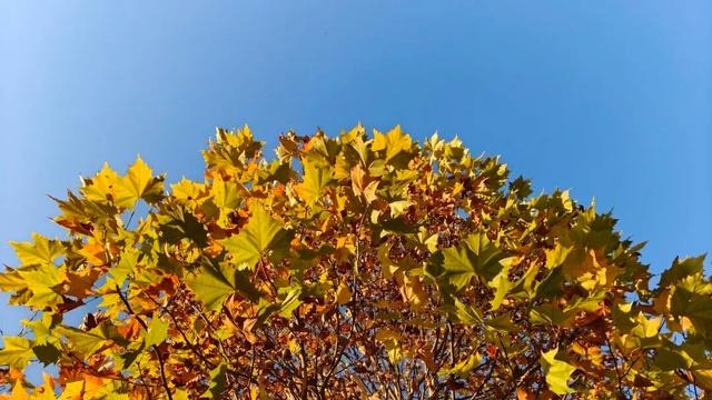 初冬，来大龙开发区遇见“限定暖阳”