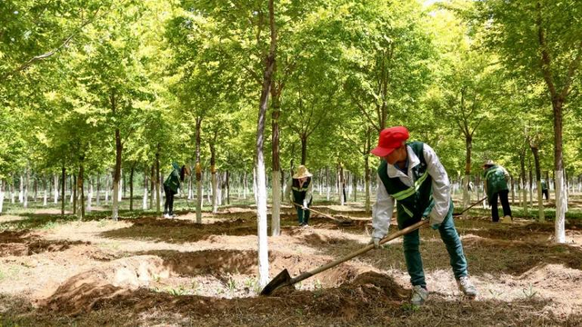 就在明天！“遇见·运河” 精彩来袭，副中心邀你解锁千年运河N种浪漫！