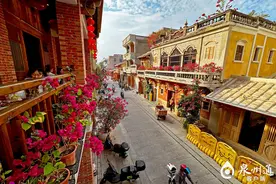 世遗泉州全年赏花指南来啦！赏花、赏人、赏古城……图片