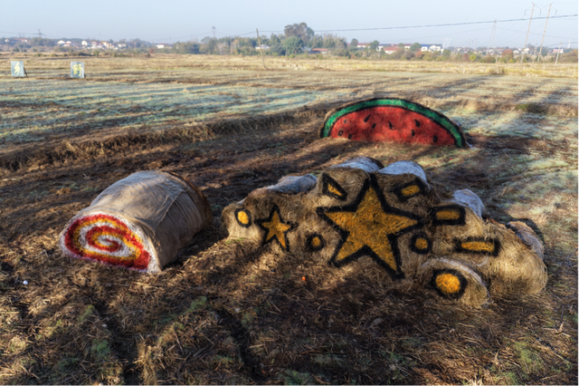 秋日限定：打卡聂家桥乡的田野浪漫！