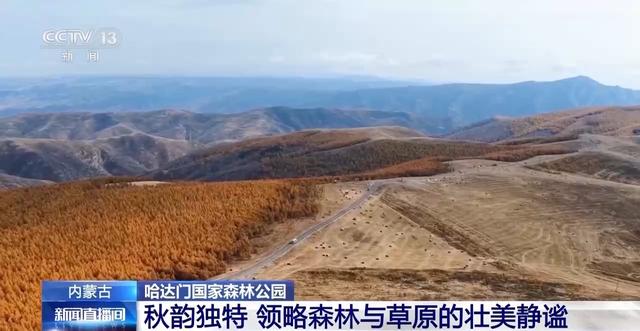 北方多地最美秋色已“上线” 一起感受浓浓秋韵