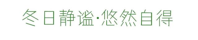 四季流转，青浦这座公园的颜值从来不掉线！