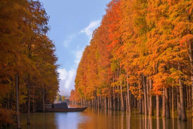 宝藏仙桃，太“鲜”啦！（采风招募）