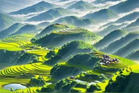 疑似AI合成图片在摄影比赛中获奖，该担忧的不仅是摄影界图片