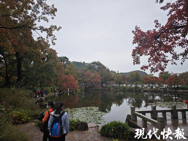 官宣！天平山红枫进入观赏期