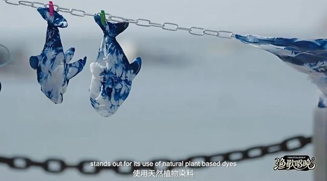 多位外籍网红博主“打卡”阳江