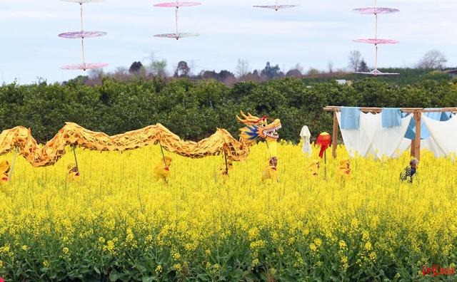 乘坐热气球、体验汉服咖啡，成都金堂赏花“耍法”上新